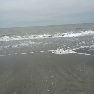 Meet your Posher, Paulette